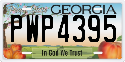 GA license plate PWP4395