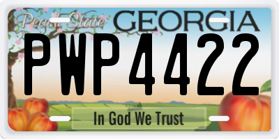GA license plate PWP4422