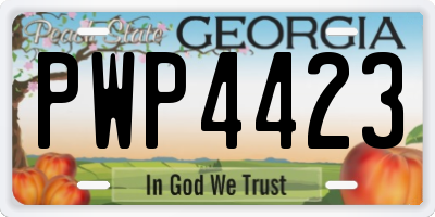 GA license plate PWP4423