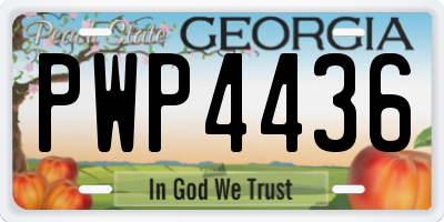 GA license plate PWP4436