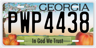 GA license plate PWP4438