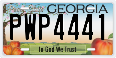 GA license plate PWP4441