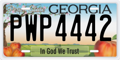 GA license plate PWP4442