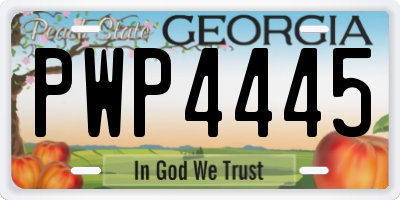 GA license plate PWP4445