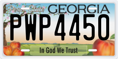 GA license plate PWP4450