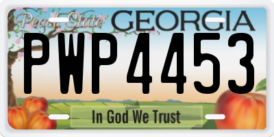 GA license plate PWP4453