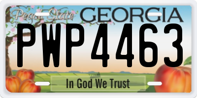 GA license plate PWP4463