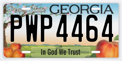 GA license plate PWP4464