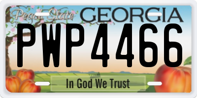 GA license plate PWP4466