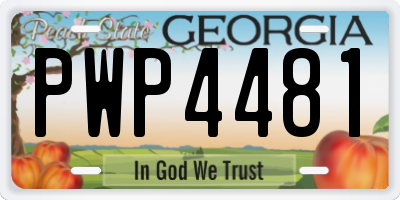 GA license plate PWP4481