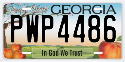 GA license plate PWP4486