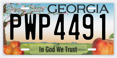 GA license plate PWP4491