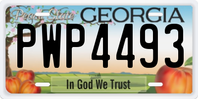 GA license plate PWP4493