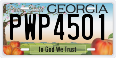 GA license plate PWP4501