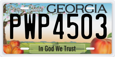 GA license plate PWP4503