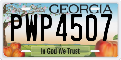 GA license plate PWP4507