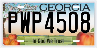 GA license plate PWP4508