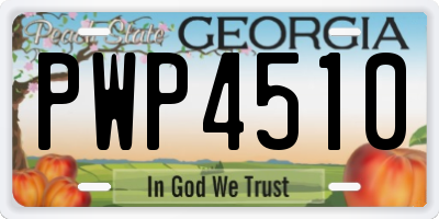 GA license plate PWP4510