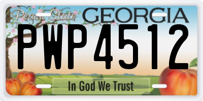 GA license plate PWP4512
