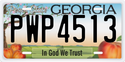 GA license plate PWP4513