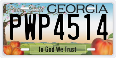 GA license plate PWP4514