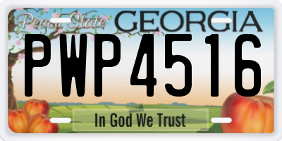GA license plate PWP4516