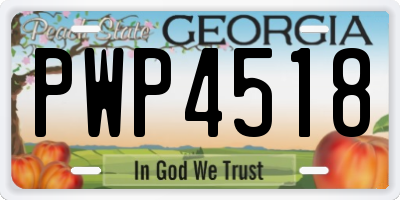 GA license plate PWP4518
