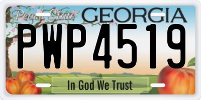 GA license plate PWP4519