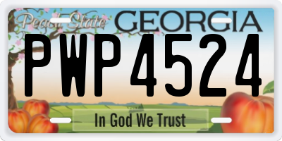 GA license plate PWP4524