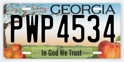 GA license plate PWP4534