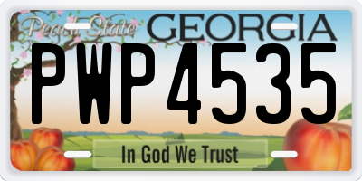 GA license plate PWP4535