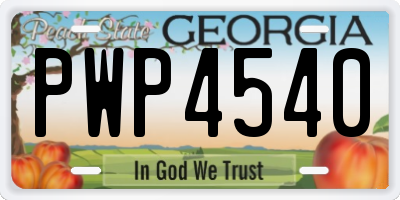 GA license plate PWP4540