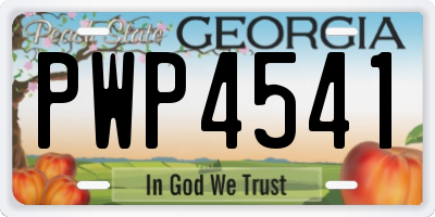 GA license plate PWP4541
