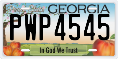 GA license plate PWP4545