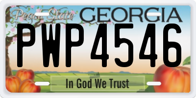 GA license plate PWP4546