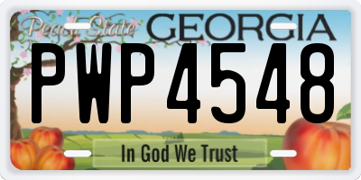 GA license plate PWP4548