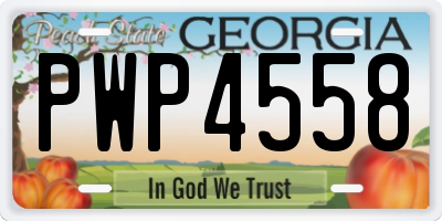 GA license plate PWP4558