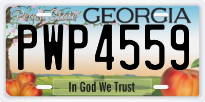 GA license plate PWP4559