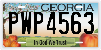 GA license plate PWP4563