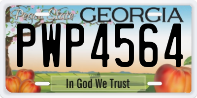 GA license plate PWP4564