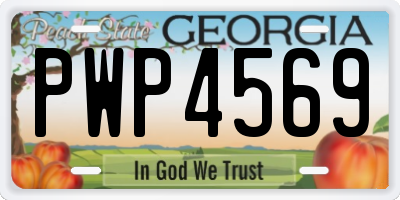 GA license plate PWP4569