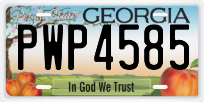 GA license plate PWP4585