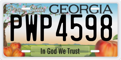 GA license plate PWP4598