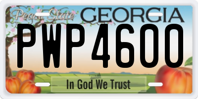 GA license plate PWP4600