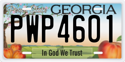 GA license plate PWP4601