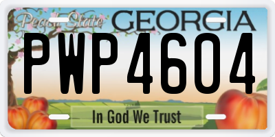 GA license plate PWP4604