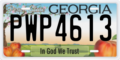 GA license plate PWP4613