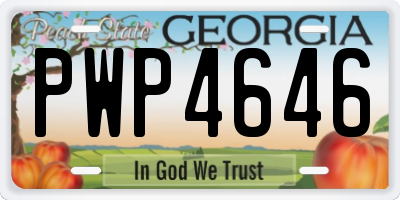 GA license plate PWP4646