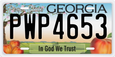 GA license plate PWP4653
