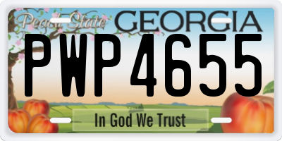 GA license plate PWP4655